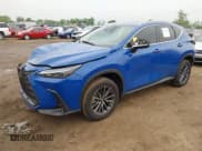 ✅ 2025 Lexus NX 250 Premium • VIN: 2T2GDCEZXSC005495 • Лот: 42366555. Опубликован ранее на IAAI с пробегом 14 869 миль. Бесплатный доступ к архиву аукционных продаж из США и подробный отчёт об истории автомобиля на DreamBid. Изображение 2.
