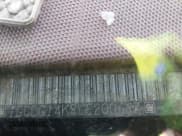 ✅ 1990 Chevrolet Silverado 1500 • VIN: 1GCDC14K8LE200657 • Lot: 43613919. Wystawiony na IAAI z przebiegiem Nie podano. Bezpłatny archiwum sprzedaży aukcyjnych z USA i szczegółowy raport historii pojazdu na DreamBid. Zdjęcie 9.