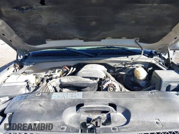 2005 Chevrolet Silverado 1500 LS with VIN 2GCEK13T051373854, listed as a IAAI auction lot 43394594 with 266,686 mi miles and . Bid and sale history available at DreamBid. Image 10.