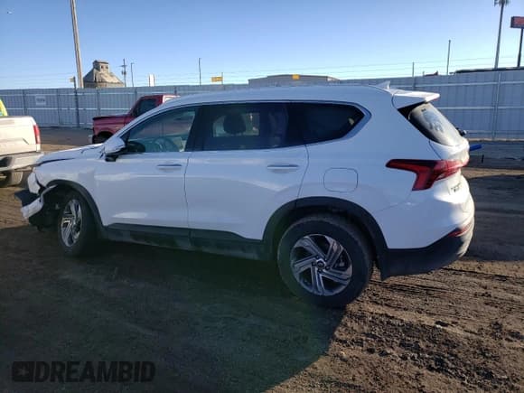 ✅ 2023 Hyundai Santa Fe SEL • VIN: 5NMS2DAJ4PH509469 • Лот: 39983403. Опубликован ранее на Copart с пробегом 3 371 миль. Бесплатный доступ к архиву аукционных продаж из США и подробный отчёт об истории автомобиля на DreamBid. Изображение 2.