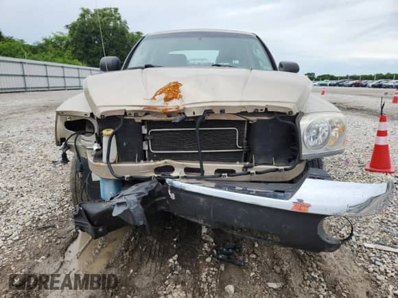 2005 Dodge Dakota SLT with VIN 1D7HE48N15S214296, listed as a Copart auction lot 60641925 with Not provided miles and Salvage title. Bid and sale history available at DreamBid. Image 5.