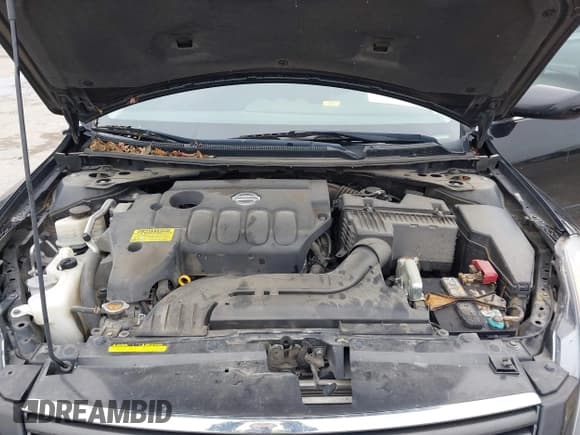 ✅ 2009 Nissan Altima S • VIN: 1N4AL21E49N555251 • Lot: 43763188. Wystawiony na IAAI z przebiegiem 149 086 mil. Bezpłatny archiwum sprzedaży aukcyjnych z USA i szczegółowy raport historii pojazdu na DreamBid. Zdjęcie 10.