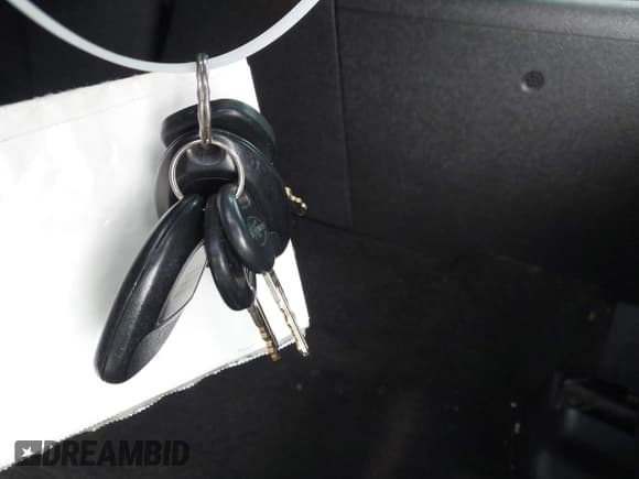 ✅ 2009 Chevrolet Silverado 1500 • VIN: 1GCEC39J69Z174643 • Lot: 42853730. Wystawiony na IAAI z przebiegiem 172 839 mil. Bezpłatny archiwum sprzedaży aukcyjnych z USA i szczegółowy raport historii pojazdu na DreamBid. Zdjęcie 11.