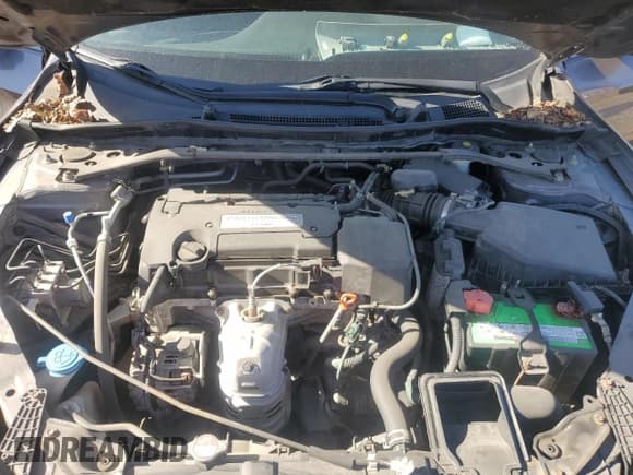 ✅ 2015 Honda Accord EX-L • VIN: 1HGCR2F81FA071630 • Lot: 57248565. Listed on Copart with 79,071 mi. Free auction sales archive from the USA and detailed vehicle history report at DreamBid. Image 11.