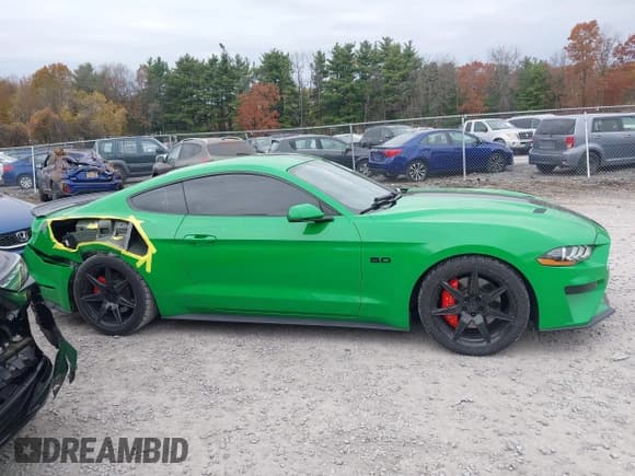 ✅ 2019 Ford Mustang GT Premium • VIN: 1FA6P8CF3K5156873 • Lot: 43633673. Wystawiony na IAAI z przebiegiem 30 947 mil. Bezpłatny archiwum sprzedaży aukcyjnych z USA i szczegółowy raport historii pojazdu na DreamBid. Zdjęcie 13.