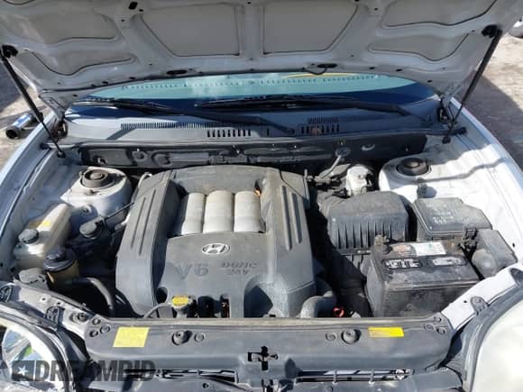 2005 Hyundai Santa Fe GLS с VIN KM8SC73D55U988475, выставлен на аукционе IAAI как лот 41779224 с пробегом 161 623 миль миль и . История ставок и продаж доступна на DreamBid. Изображение 10.