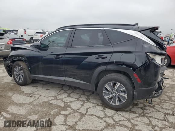 ✅ 2024 Hyundai Tucson Blue • VIN: KM8JBCD19RU160205 • Lot: 64611924. Wystawiony na Copart z przebiegiem 29 292 mil. Bezpłatny archiwum sprzedaży aukcyjnych z USA i szczegółowy raport historii pojazdu na DreamBid. Zdjęcie 2.