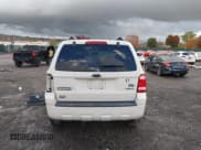 ✅ 2009 Ford Escape XLT • VIN: 1FMCU93G39KB94308 • Lot: 43579257. Listed on IAAI with 49,142 mi. Free auction sales archive from the USA and detailed vehicle history report at DreamBid. Image 15.