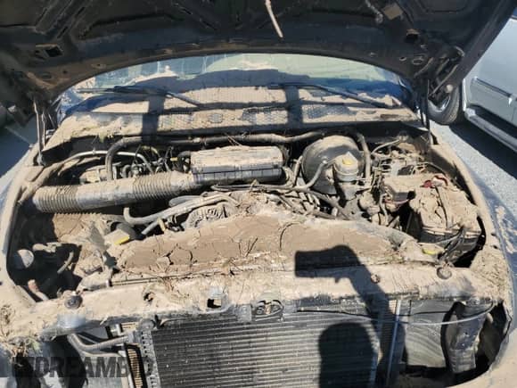 2001 Dodge 1500 with VIN 3B7HC13YX1G770320, listed as a Copart auction lot 75390084 with Not provided miles and Salvage title. Bid and sale history available at DreamBid. Image 11.