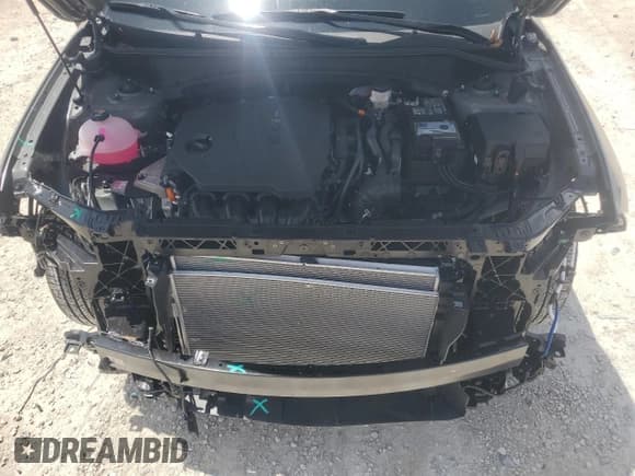 ✅ 2024 Hyundai Tucson SEL • VIN: 5NMJB3DE3RH425344 • Lot: 67712524. Wystawiony na Copart z przebiegiem 477 mil. Bezpłatny archiwum sprzedaży aukcyjnych z USA i szczegółowy raport historii pojazdu na DreamBid. Zdjęcie 12.