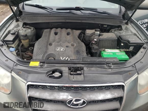 ✅ 2007 Hyundai Santa Fe GLS • VIN: KM8SG73D77U147720 • Lot: 45242884. Listed on Copart with 186,840 mi. Free auction sales archive from the USA and detailed vehicle history report at DreamBid. Image 11.