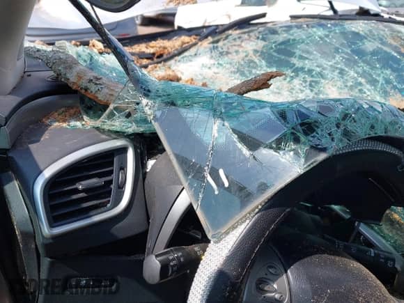 2015 Nissan Murano Platinum with VIN 5N1AZ2MG6FN234390, listed as a IAAI auction lot 42285350 with Not provided miles and . Bid and sale history available at DreamBid. Image 7.