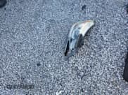 ✅ 2016 Honda Accord EX-L • VIN: 1HGCR2F80GA042010 • Лот: 87460545. Опубликован ранее на Copart с пробегом Не указан. Бесплатный доступ к архиву аукционных продаж из США и подробный отчёт об истории автомобиля на DreamBid. Изображение 12.