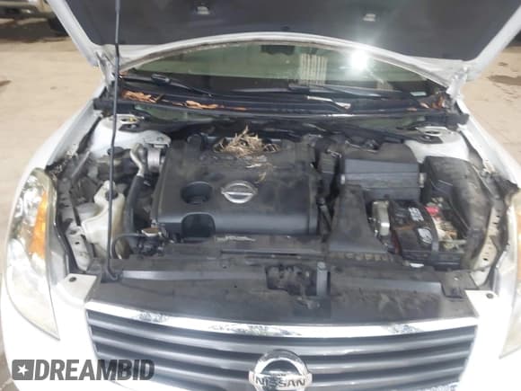 ✅ 2008 Nissan Altima SE • VIN: 1N4BL21E48N478951 • Lot: 43788570. Listed on IAAI with 224,789 mi. Free auction sales archive from the USA and detailed vehicle history report at DreamBid. Image 10.