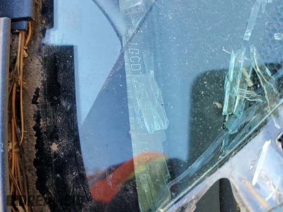 ✅ 2003 Chevrolet S-10 LS • VIN: 1GCDT13X73K112956 • Лот: 75941354. Опубликован ранее на Copart с пробегом Не указан. Бесплатный доступ к архиву аукционных продаж из США и подробный отчёт об истории автомобиля на DreamBid. Изображение 12.