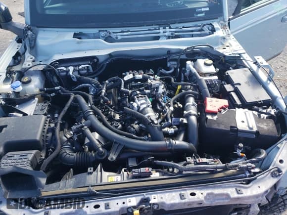 ✅ 2021 Ford Bronco First Edition • VIN: 1FMEE5EP3MLA42365 • Лот: 88356775. Опубликован ранее на Copart с пробегом 48 807 миль. Бесплатный доступ к архиву аукционных продаж из США и подробный отчёт об истории автомобиля на DreamBid. Изображение 13.