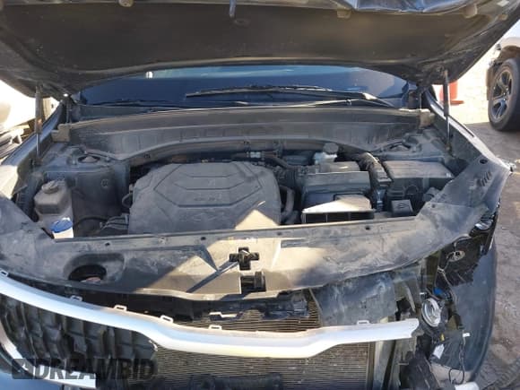 ✅ 2023 Kia Telluride EX X-Line • VIN: 5XYP3DGCXPG388422 • Lot: 41209649. Wystawiony na IAAI z przebiegiem 48 665 mil. Bezpłatny archiwum sprzedaży aukcyjnych z USA i szczegółowy raport historii pojazdu na DreamBid. Zdjęcie 10.