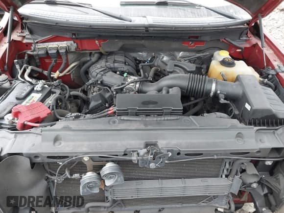 ✅ 2014 Ford F-150 XLT • VIN: 1FTEW1CM9EFA78354 • Lot: 43728623. Listed on IAAI with 93,467 mi. Free auction sales archive from the USA and detailed vehicle history report at DreamBid. Image 10.