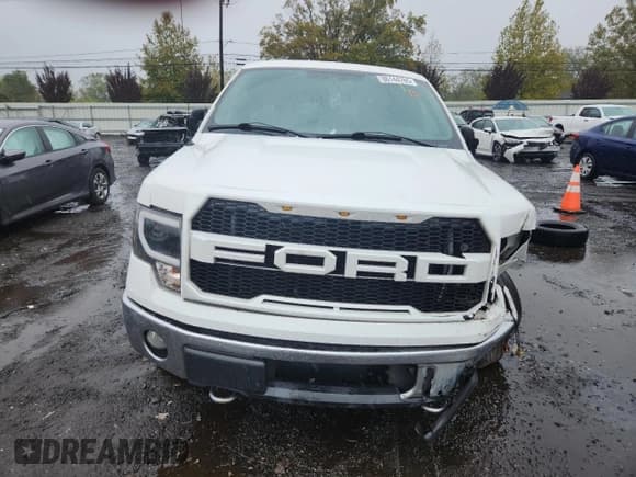 ✅ 2012 Ford F-150 XLT • VIN: 1FTFX1EF8CFB49914 • Lot: 86144765. Wystawiony na Copart z przebiegiem 248 811 mil. Bezpłatny archiwum sprzedaży aukcyjnych z USA i szczegółowy raport historii pojazdu na DreamBid. Zdjęcie 5.