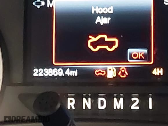 ✅ 2019 Ford F-250 XL • VIN: 1FT7W2B66KED43282 • Lot: 42940654. Listed on IAAI with 223,869 mi. Free auction sales archive from the USA and detailed vehicle history report at DreamBid. Image 16.