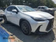 ✅ 2024 Lexus NX 350 Premium • VIN: 2T2GGCEZ2RC032515 • Lot: 68640375. Listed on Copart with 18,398 mi. Free auction sales archive from the USA and detailed vehicle history report at DreamBid. Image 4.