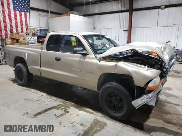 2002 Dodge Dakota SLT with VIN 1B7GG42N82S653385, listed as a Copart auction lot 49811535 with 169,155 mi miles and Clean title. Bid and sale history available at DreamBid. Image 4.