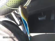 ✅ 2016 Jeep Wrangler Unlimited Freedom • VIN: 1C4BJWDG7GL286907 • Lot: 42809618. Listed on IAAI with 122,649 mi. Free auction sales archive from the USA and detailed vehicle history report at DreamBid. Image 11.