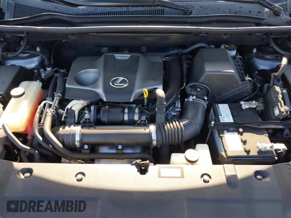 ✅ 2017 Lexus NX 200t F Sport • VIN: JTJBARBZ1H2144255 • Lot: 43678308. Wystawiony na IAAI z przebiegiem 103 924 mil. Bezpłatny archiwum sprzedaży aukcyjnych z USA i szczegółowy raport historii pojazdu na DreamBid. Zdjęcie 10.