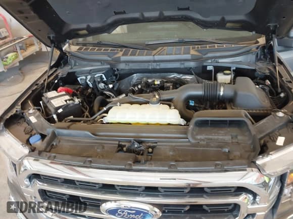 ✅ 2023 Ford F-150 XL • VIN: 1FTEW1EP5PFC96365 • Lot: 42486585. Listed on IAAI with 7,095 mi. Free auction sales archive from the USA and detailed vehicle history report at DreamBid. Image 10.