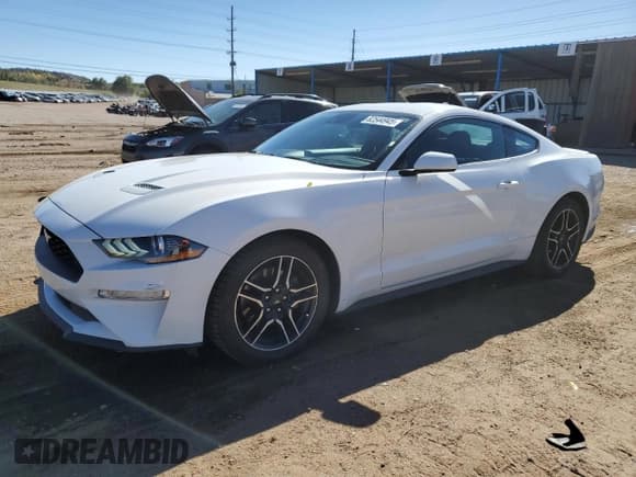 ✅ 2021 Ford Mustang EcoBoost • VIN: 1FA6P8TH1M5115985 • Lot: 82544945. Wystawiony na Copart z przebiegiem 82 987 mil. Bezpłatny archiwum sprzedaży aukcyjnych z USA i szczegółowy raport historii pojazdu na DreamBid. Zdjęcie 1.