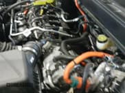 ✅ 2025 Ford Maverick XLT • VIN: 3FTTW8J36SRA26611 • Лот: 42537620. Опубликован ранее на IAAI с пробегом 4 582 миль. Бесплатный доступ к архиву аукционных продаж из США и подробный отчёт об истории автомобиля на DreamBid. Изображение 19.