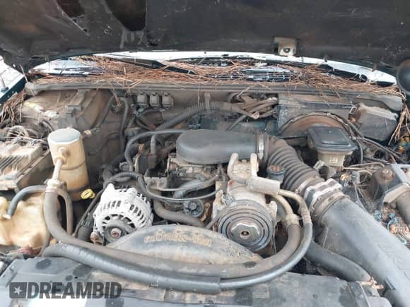 1997 Chevrolet Blazer LS с VIN 1GNCS13W1V2261394, выставлен на аукционе IAAI как лот 41543411 с пробегом 216 965 миль миль и . История ставок и продаж доступна на DreamBid. Изображение 10.