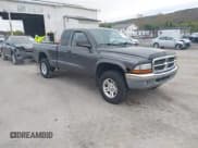 ✅ 2004 Dodge Dakota SLT • VIN: 1D7HG42N34S704613 • Lot: 43436598. Listed on IAAI with 124,371 mi. Free auction sales archive from the USA and detailed vehicle history report at DreamBid. Image 1.
