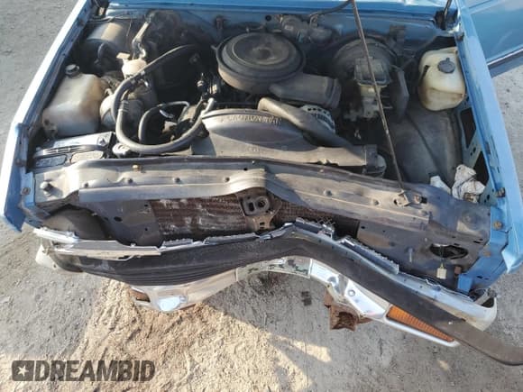 ✅ 1993 Chevrolet S-10 LS • VIN: 1GCCS19Z6P0106798 • Лот: 43982985. Опубликован ранее на Copart с пробегом 323 153 миль. Бесплатный доступ к архиву аукционных продаж из США и подробный отчёт об истории автомобиля на DreamBid. Изображение 11.