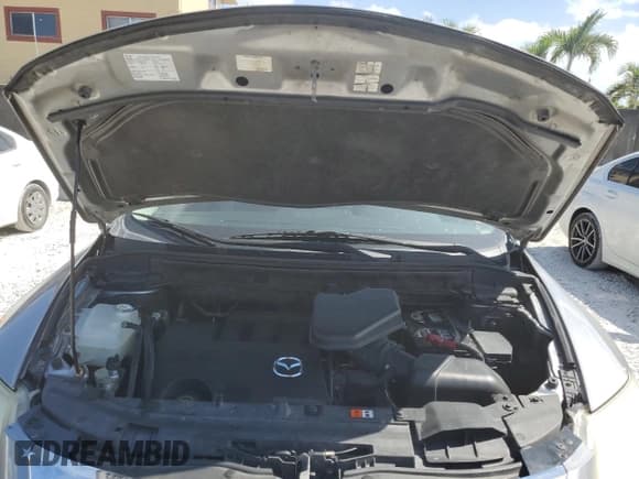 ✅ 2010 Mazda CX-9 Sport • VIN: JM3TB2MA6A0210813 • Lot: 55252165. Listed on Copart with 208,868 mi. Free auction sales archive from the USA and detailed vehicle history report at DreamBid. Image 13.