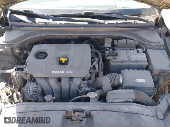 ✅ 2017 Hyundai Elantra Limited • VIN: 5NPD84LF6HH132499 • Lot: 39160337. Listed on IAAI with 119,246 mi. Free auction sales archive from the USA and detailed vehicle history report at DreamBid. Image 10.