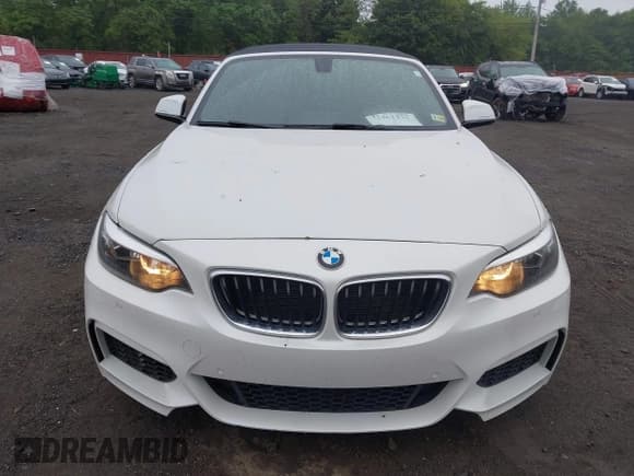 ✅ 2016 BMW 2 Series 228i • VIN: WBA1K9C56GV710105 • Лот: 42461132. Опубликован ранее на IAAI с пробегом 74 515 миль. Бесплатный доступ к архиву аукционных продаж из США и подробный отчёт об истории автомобиля на DreamBid. Изображение 12.