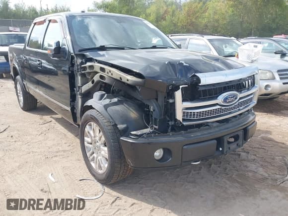 ✅ 2010 Ford F-150 XL • VIN: 1FTFW1EV5AFC97753 • Lot: 43242522. Wystawiony na IAAI z przebiegiem 172 183 mil. Bezpłatny archiwum sprzedaży aukcyjnych z USA i szczegółowy raport historii pojazdu na DreamBid. Zdjęcie 6.