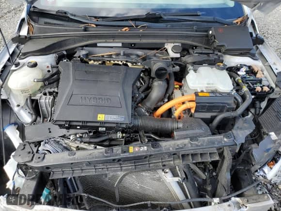 2017 Hyundai Ioniq SEL with VIN KMHC75LC4HU020635, listed as a Copart auction lot 85342225 with 85,818 mi miles and Salvage title. Bid and sale history available at DreamBid. Image 11.