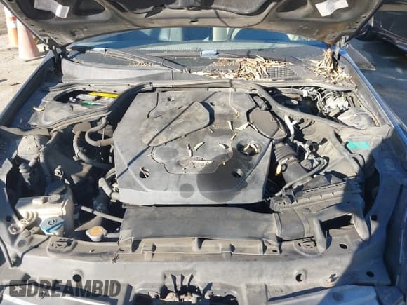 ✅ 2003 Infiniti G35 • VIN: JNKCV51E53M323526 • Lot: 43879173. Listed on IAAI with 291,291 mi. Free auction sales archive from the USA and detailed vehicle history report at DreamBid. Image 10.