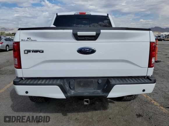 ✅ 2017 Ford F-150 XLT • VIN: 1FTEW1EF4HKD14676 • Lot: 87395095. Wystawiony na Copart z przebiegiem 105 178 mil. Bezpłatny archiwum sprzedaży aukcyjnych z USA i szczegółowy raport historii pojazdu na DreamBid. Zdjęcie 6.