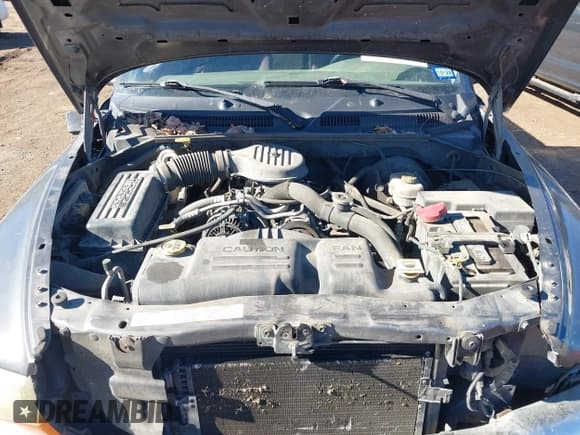 ✅ 2003 Dodge Dakota SLT • VIN: 1D7HL48X03S174569 • Lot: 41159169. Wystawiony na IAAI z przebiegiem 156 551 mil. Bezpłatny archiwum sprzedaży aukcyjnych z USA i szczegółowy raport historii pojazdu na DreamBid. Zdjęcie 10.