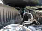 2024 Ram 1500 Limited with VIN 1C6SRFHT2RN104612, listed as a Copart auction lot 61955495 with Not provided miles and Salvage title. Bid and sale history available at DreamBid. Image 11.