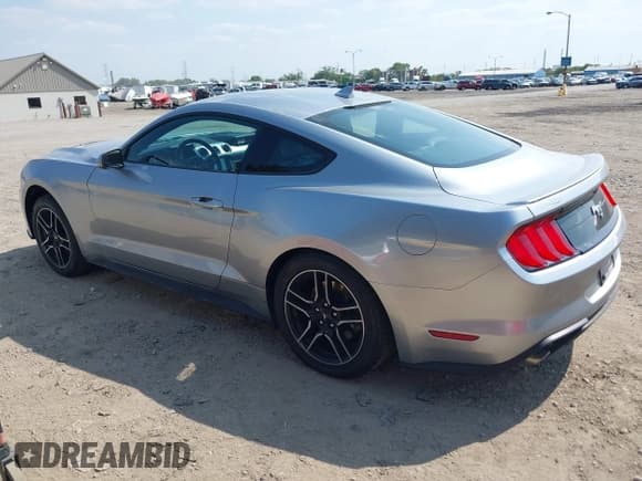 ✅ 2023 Ford Mustang EcoBoost • VIN: 1FA6P8THXP5102382 • Lot: 43256248. Listed on IAAI with 45,370 mi. Free auction sales archive from the USA and detailed vehicle history report at DreamBid. Image 3.