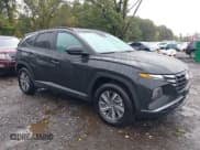 ✅ 2024 Hyundai Tucson Blue • VIN: KM8JBCD11RU223152 • Lot: 43410981. Listed on IAAI with 11,964 mi. Free auction sales archive from the USA and detailed vehicle history report at DreamBid. Image 13.