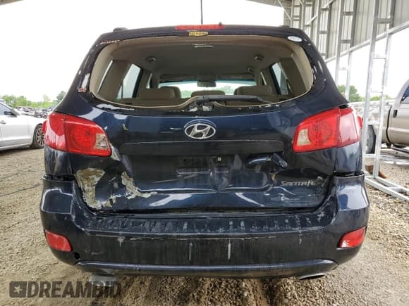 ✅ 2007 Hyundai Santa Fe GLS • VIN: 5NMSG13D77H124009 • Lot: 59670925. Wystawiony na Copart z przebiegiem 179 376 mil. Bezpłatny archiwum sprzedaży aukcyjnych z USA i szczegółowy raport historii pojazdu na DreamBid. Zdjęcie 6.