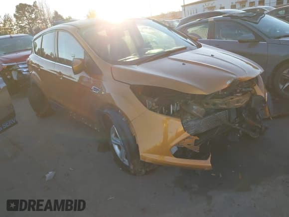 ✅ 2016 Ford Escape SE • VIN: 1FMCU9GX5GUC89240 • Lot: 43723922. Wystawiony na IAAI z przebiegiem 117 832 mil. Bezpłatny archiwum sprzedaży aukcyjnych z USA i szczegółowy raport historii pojazdu na DreamBid. Zdjęcie 1.