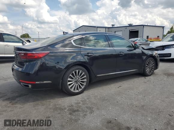 ✅ 2019 Kia Cadenza Premium • VIN: KNALB4J15K5164465 • Lot: 66602025. Listed on Copart with 53,842 mi. Free auction sales archive from the USA and detailed vehicle history report at DreamBid. Image 3.