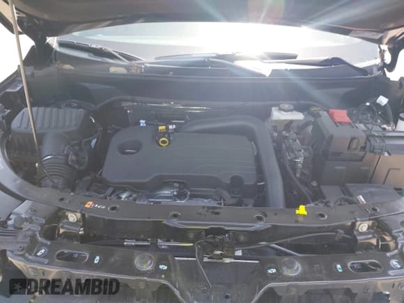 ✅ 2025 Chevrolet Equinox FWD LT • VIN: 3GNAXHEG7SL261109 • Lot: 42672414. Wystawiony na IAAI z przebiegiem 4 697 mil. Bezpłatny archiwum sprzedaży aukcyjnych z USA i szczegółowy raport historii pojazdu na DreamBid. Zdjęcie 10.