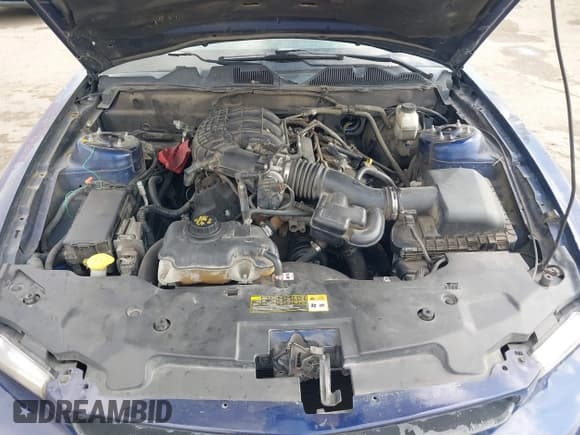 ✅ 2011 Ford Mustang Premium • VIN: 1ZVBP8AM7B5116500 • Lot: 43764667. Listed on IAAI with 223,800 mi. Free auction sales archive from the USA and detailed vehicle history report at DreamBid. Image 10.